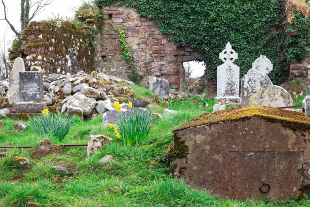 istock old Irish cemetery ruins 1019984378