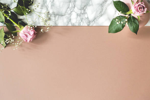 istock Top view on pastel background with copy space and pink roses. Place for your text 1019989144