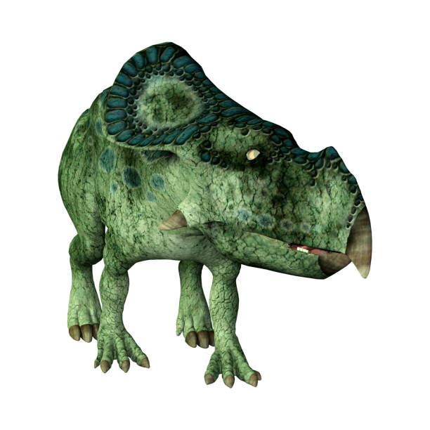 istock 3D illustration dinosaur Protoceratops on white 1019994950