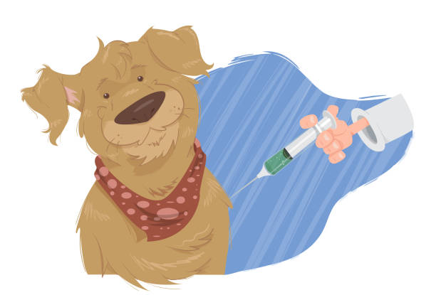 Illustration of a dog receiving application of a vaccine.