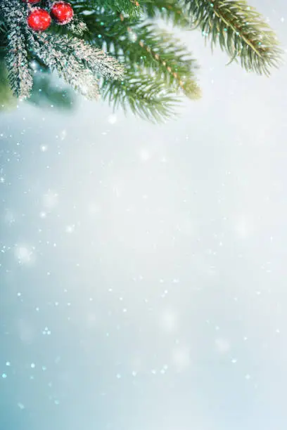 Photo of Christmas background with branch and ornaments