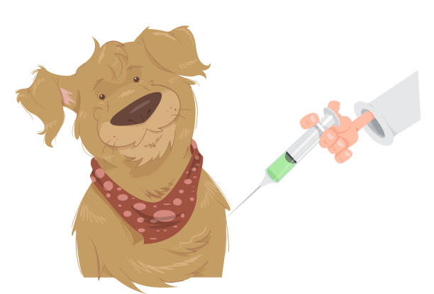 Illustration of a dog receiving application of a vaccine.