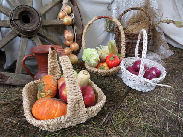 cestini di vimini con verdure e frutta in fattoria - marrow squash autumn corn crop hay foto e immagini stock