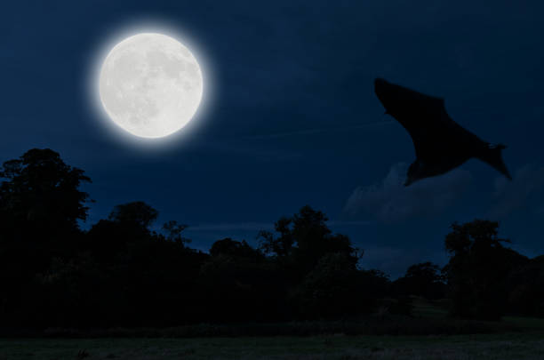 istock Abandoned cemetery in spooky night 1020017142