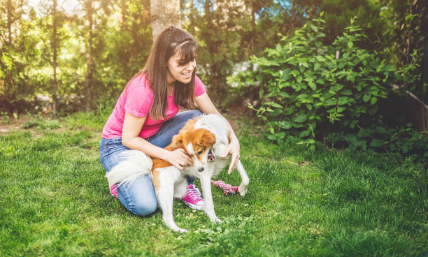 istock Young woman playing with her dog in backyard. 1020019984