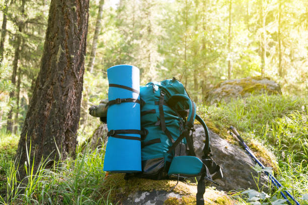 istock A green backpack near a tree in the forest. 1020026426