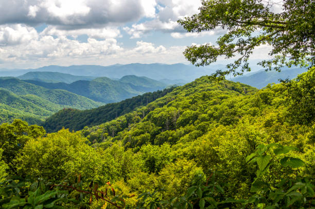istock A Great Smoky Mountain Afternoon 1020031742