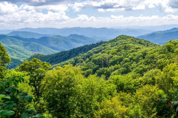 istock A Blue Mist Hangs Over the Great Smoky Mountains 1020032022