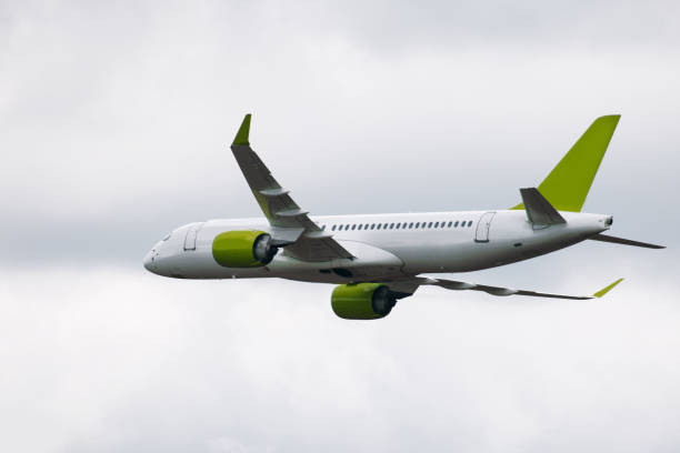 istock Passenger airplane in the air 1020032918