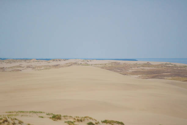 istock untouched nature in the Curonian Spit reserve 1020037994