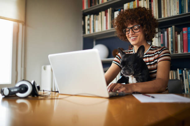 Woman working at home. lifestyles in Barcelona home one woman.
Freelance working spanish bulldog stock pictures, royalty-free photos & images