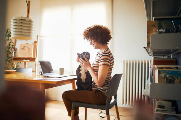 Woman working at home. lifestyles in Barcelona home one woman.
Freelance working spanish bulldog stock pictures, royalty-free photos & images