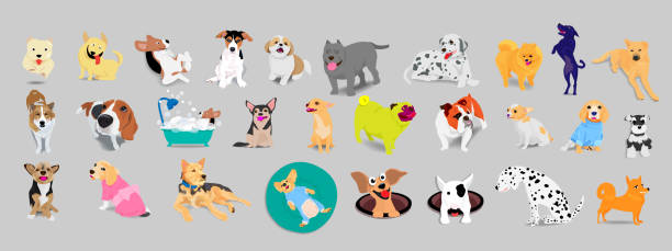 Set of dogs, adorable and friendly animal on gray background. Set of dogs, beagle, jack russell terrier, pitbill, bulldog, Thai bangkaew, dalmatian, adorable and friendly animal on gray background. pitbull graphic stock illustrations