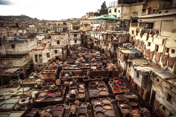 istock Famous dyeing tannery in Fez, Morocco 1020049050