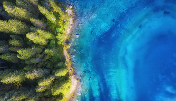 aerial view on the lake and forest. natural landscape from drone. aerial landscape from air in the dolomite alps, italy. - grass area field air sky imagens e fotografias de stock