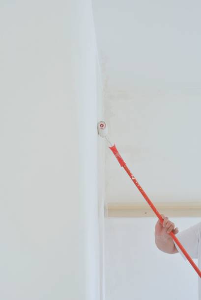 istock painting a wall with a paint roller 1020050074