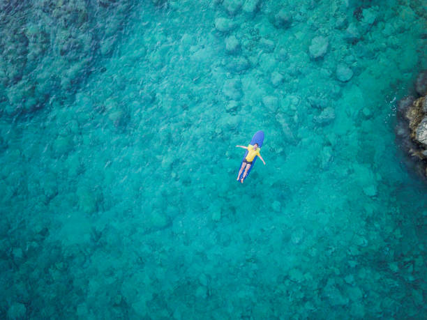 istock Relaxing in the sea 1020079250
