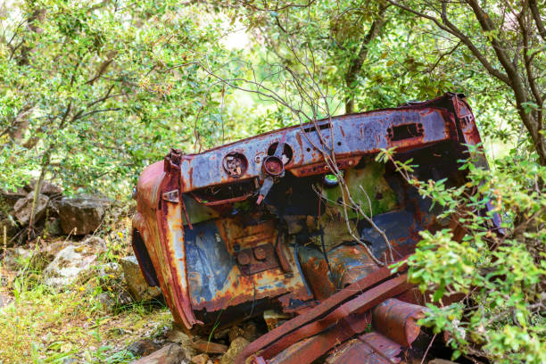 Rusty car wreck abandoned in a wood. Rusty details of the interiors wrapped by the plants of the forest.