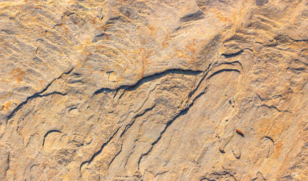 istock Stone background texture background natural stone close-up 1020108176
