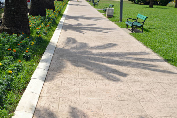 Shadows of palm trees on the pedestrian walkaway