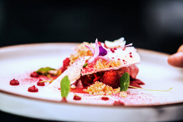istock Modern food stylist decorating meal for presentation in restaurant 1020110682