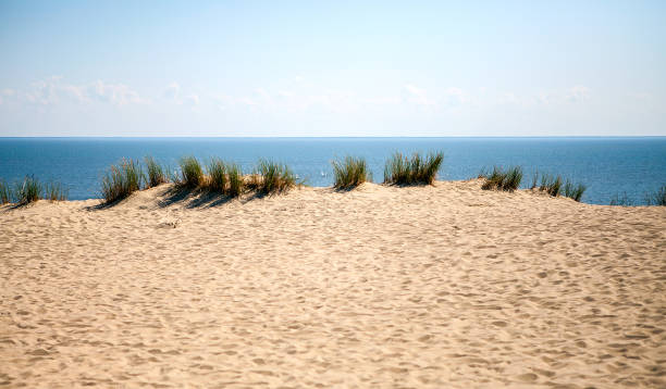 istock Beautiful white sand dunes at the sea beach. 1020119138