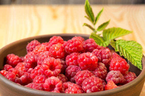 istock Fresh organic healthy raspberry with mint leaves in clay dish on wooden table background. Rustic style and natural light. food photo. 1020121894