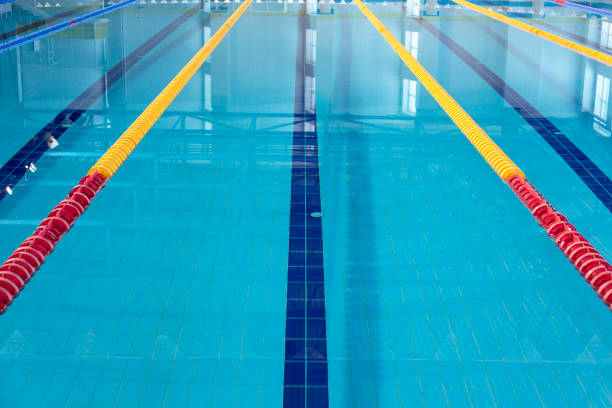istock Row of starting blocks in a swimming pool 1020122252