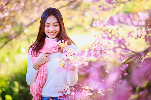 Thai beautiful tourist is smiling while traveling at sakura tree area