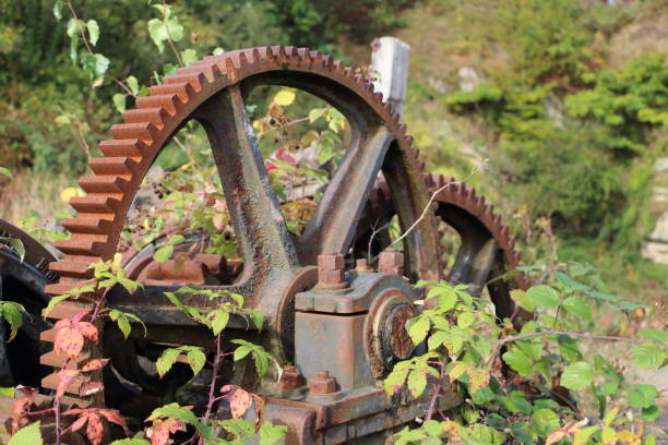 istock Old gear wheel in the woods 1020133890