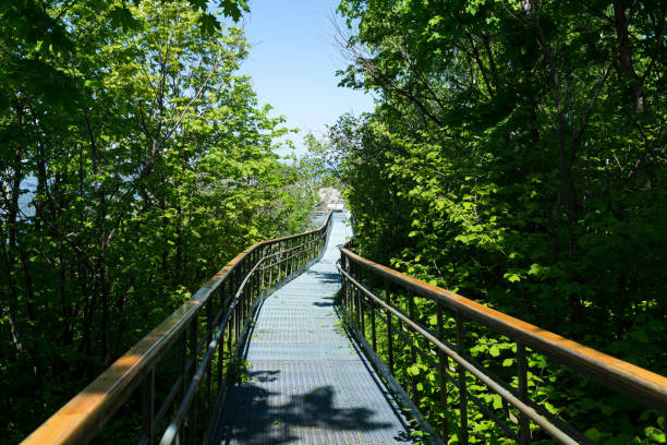 istock Sightseeing trail in the mountains of Zhiguli. 1020134322
