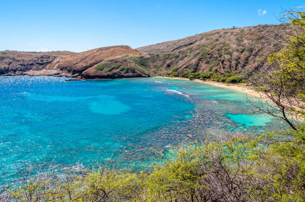 istock Hanauma Bay and Its Coral Reef 1020140130