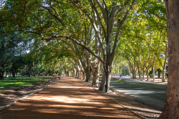 istock General San Martin Park - Mendoza, Argentina 1020140830
