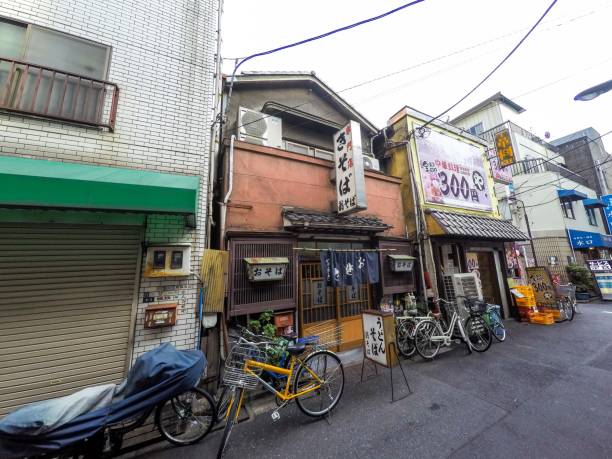 istock STREET WITH TYPICAL RESTAURANT TOKYO 1020149064