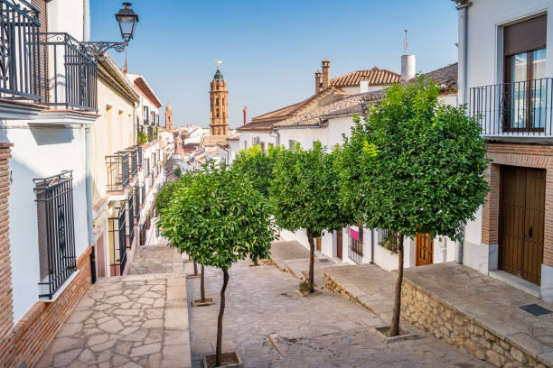 Stock photograph of citrus trees and an alley in old town Antequera, Andalusia, Spain on a sunny day.