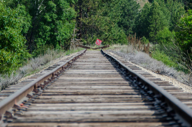 istock Long Silent Railroad Tracks Extending on and Waiting Patiently 1020155408
