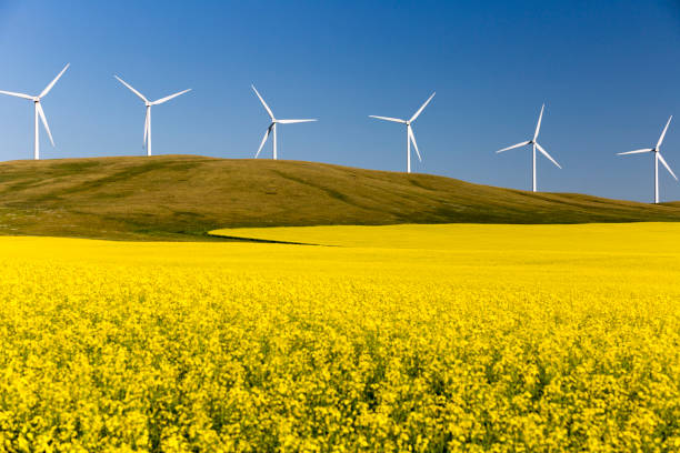 istock Wind Turbine Alternative Energy 1020155412