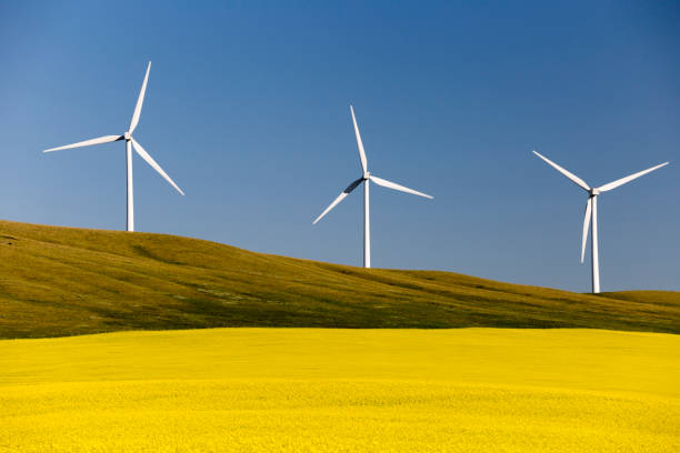 istock Wind Turbine Alternative Energy 1020155432