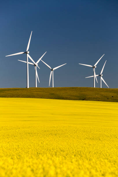 istock Wind Turbine Alternative Energy 1020157668