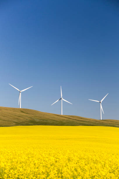 istock Wind Turbine Alternative Energy 1020157698