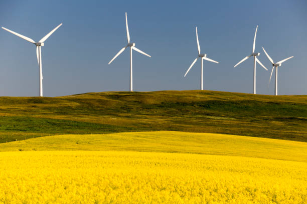 istock Wind Turbine Alternative Energy 1020157902
