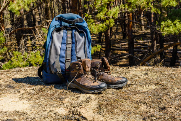 istock Backpack and touristic boots on ground in a coniferous forest 1020157958