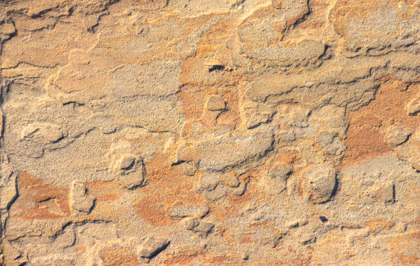istock Stone background texture background natural stone close-up 1020167120