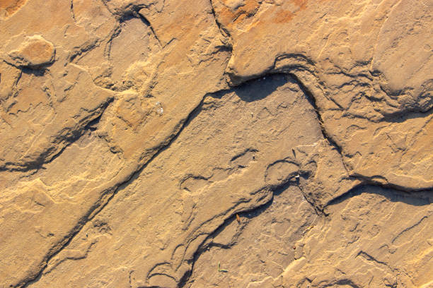 istock Stone background texture background natural stone close-up 1020167268