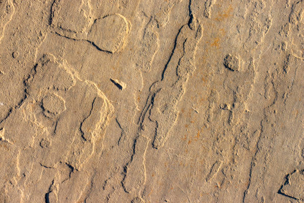 istock Stone background texture background natural stone close-up 1020169376