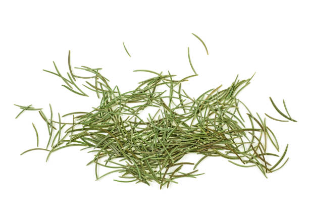 istock Dried fir needles after christmas isolated over white background 1020169460