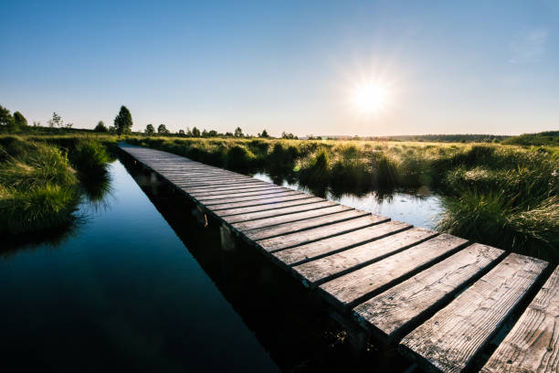 istock A way through the marshland Hohes Venn 1020169946