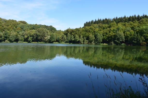 istock caldera lake 'Holzmaar' in Eifel region 1020170016