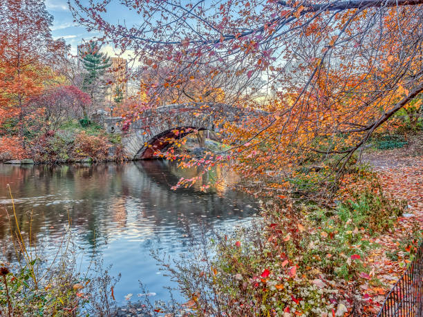 istock Gapstow bridge Central Park, New York City 1020172752