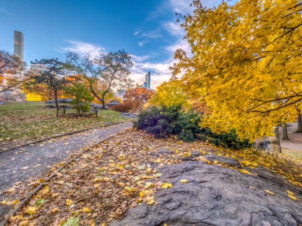 istock Central Park, New York City autumn 1020173390